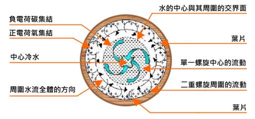 三重螺旋活水器